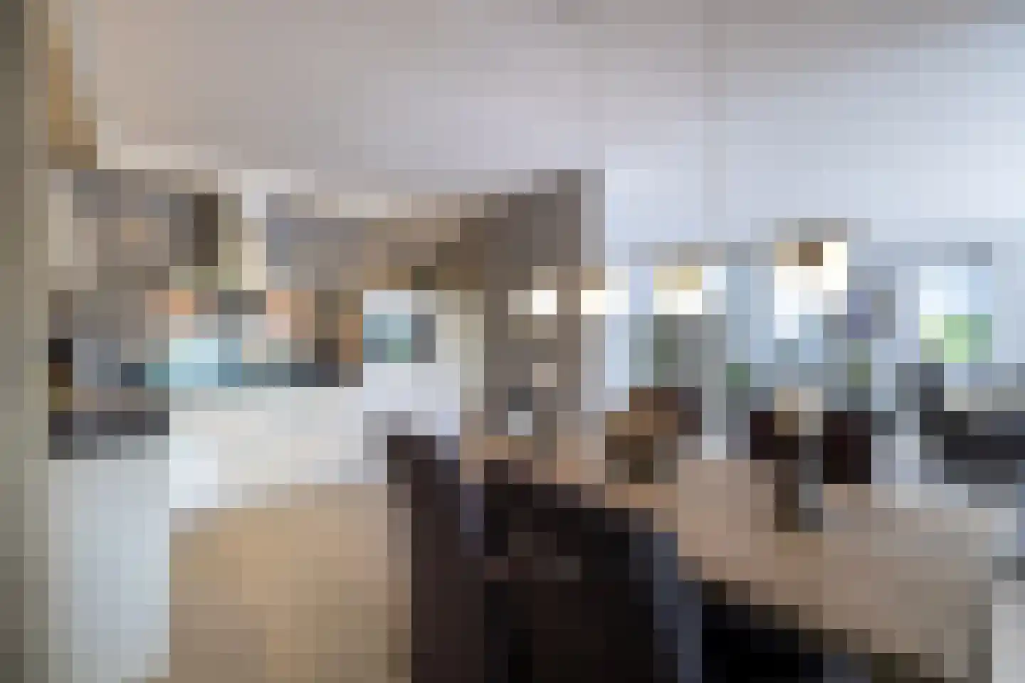 Brasem 110 Doetinchem thumbnail 8
