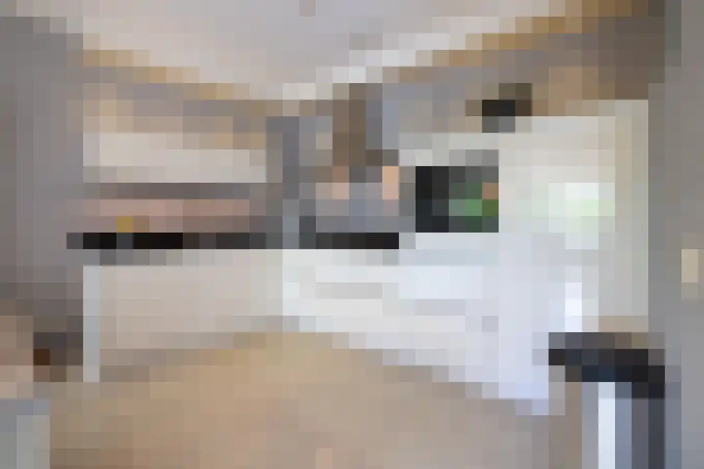 Brasem 110 Doetinchem thumbnail 9