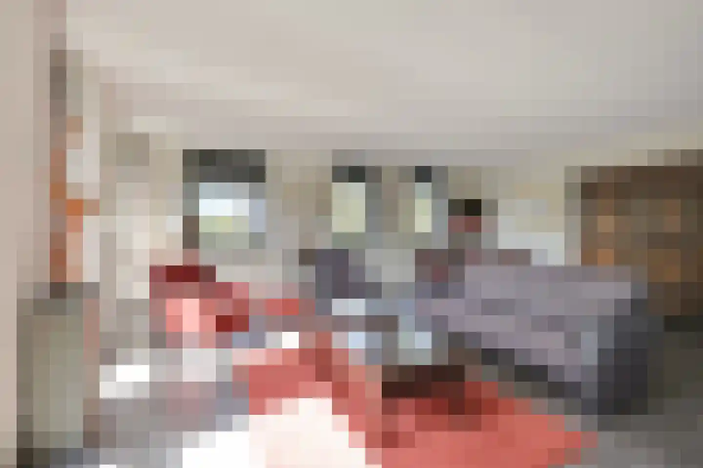 Brasem 140 Doetinchem thumbnail 25