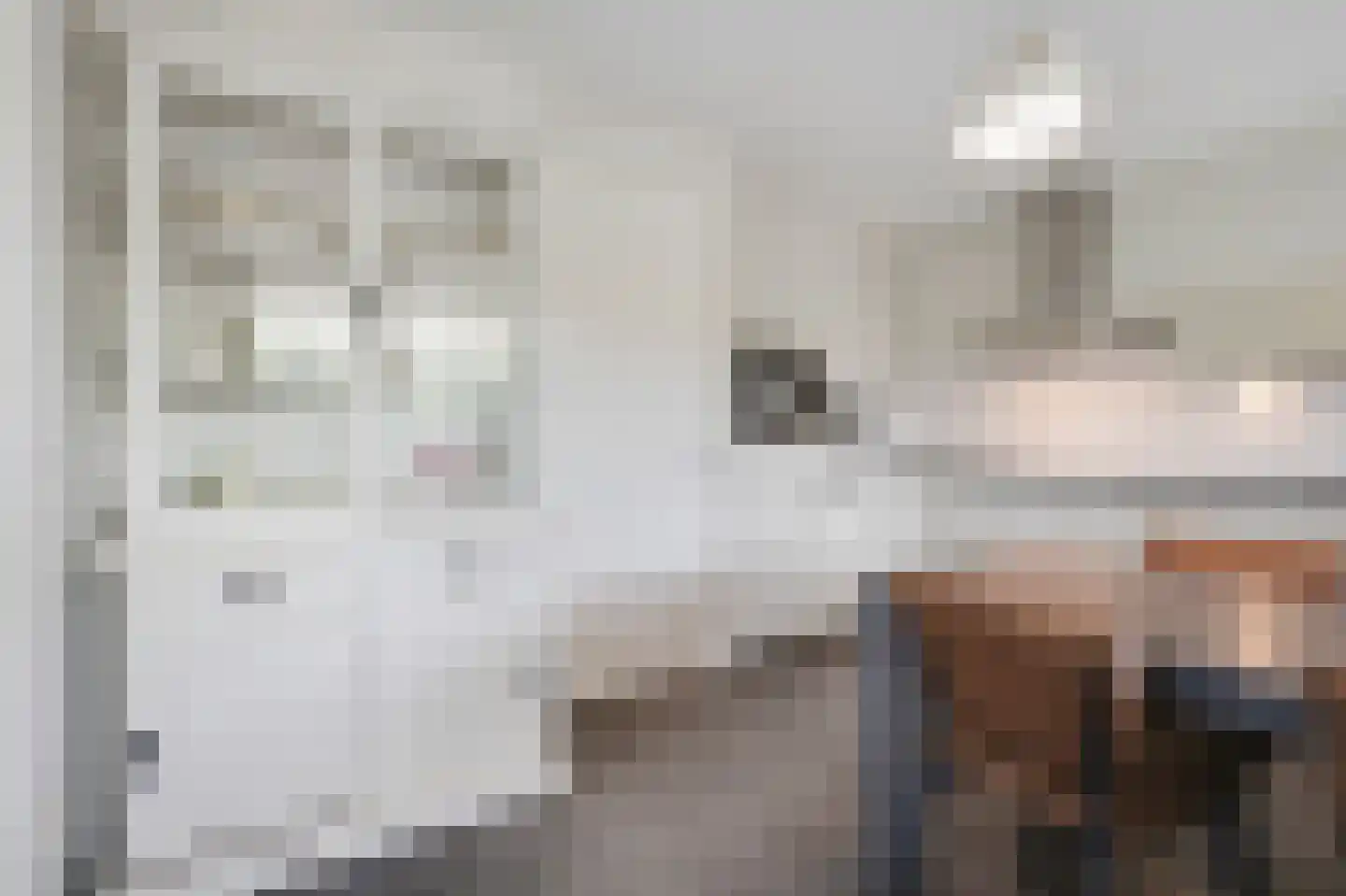 Brasem 140 Doetinchem thumbnail 31