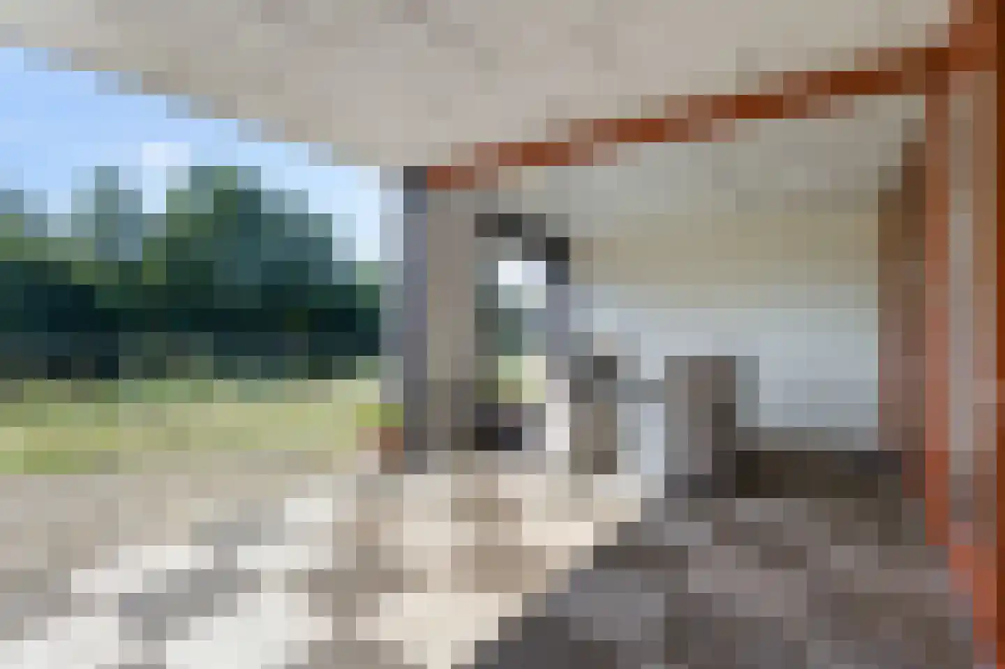 Brasem 140 Doetinchem thumbnail 64