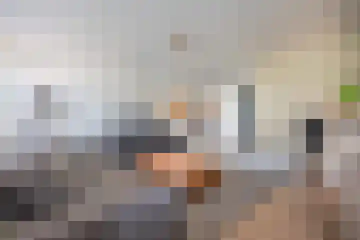 Brasem 16 Tiel thumbnail 18