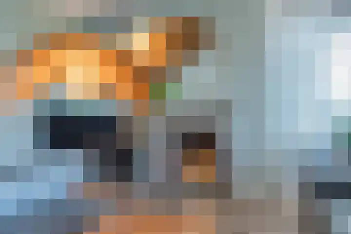 Brasem 16 Tiel thumbnail 20