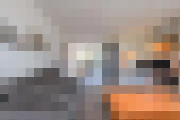 Brasem 16 Tiel thumbnail 21