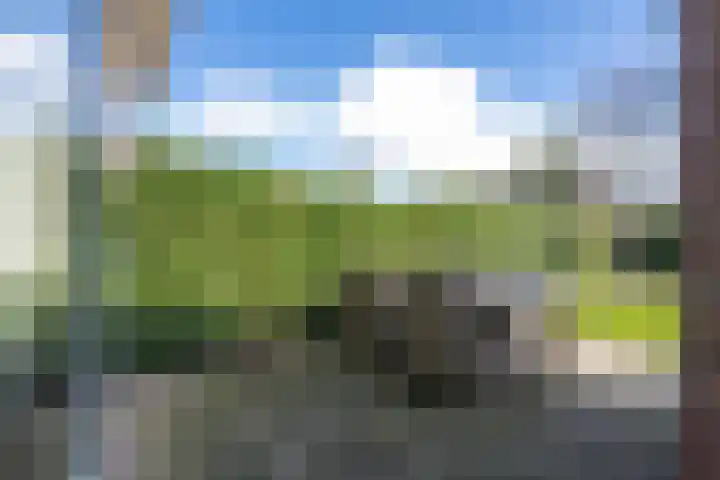 Brasem 16 Tiel thumbnail 34