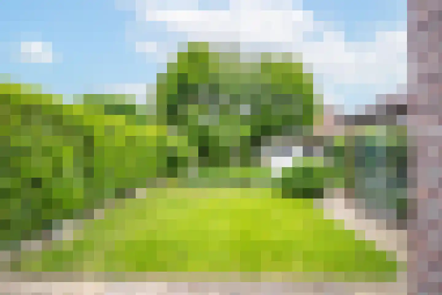 Brasem 16 Tiel thumbnail 36