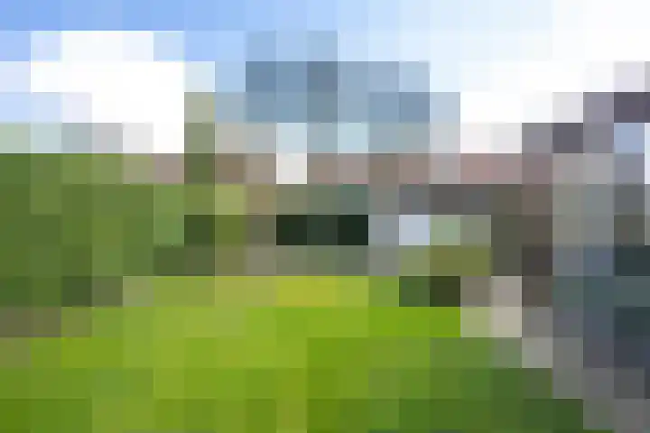 Brasem 16 Tiel thumbnail 36