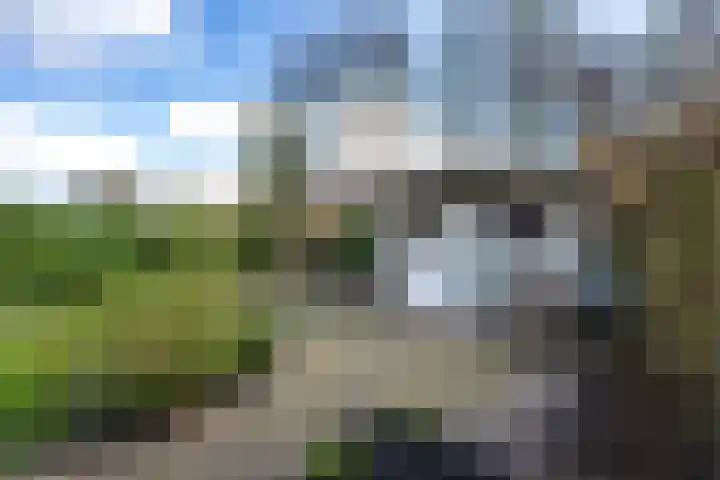 Brasem 16 Tiel thumbnail 38