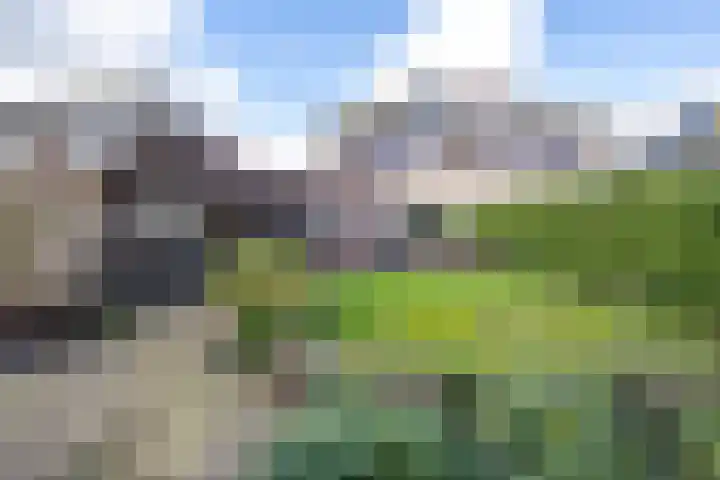 Brasem 16 Tiel thumbnail 39