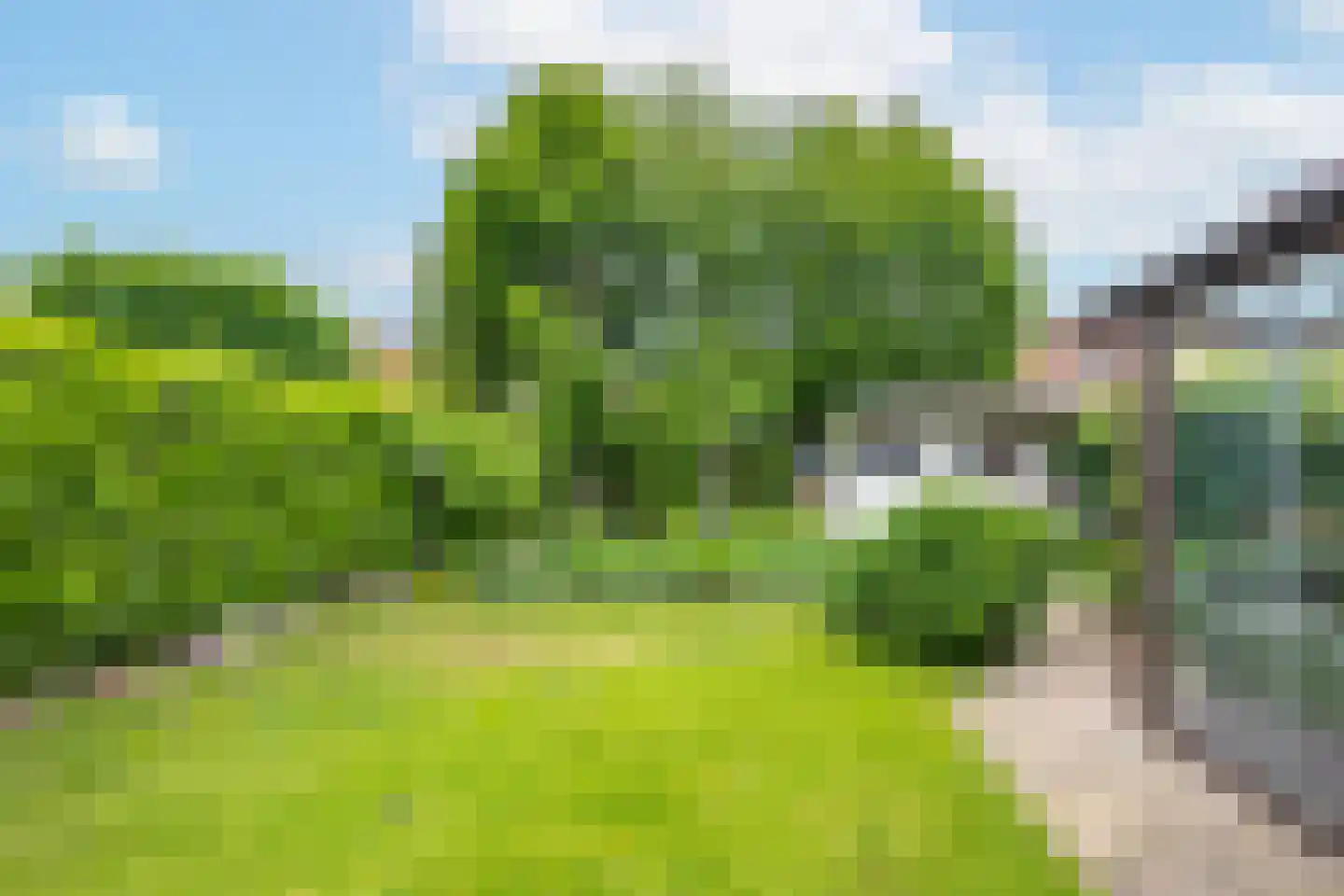Brasem 16 Tiel thumbnail 39