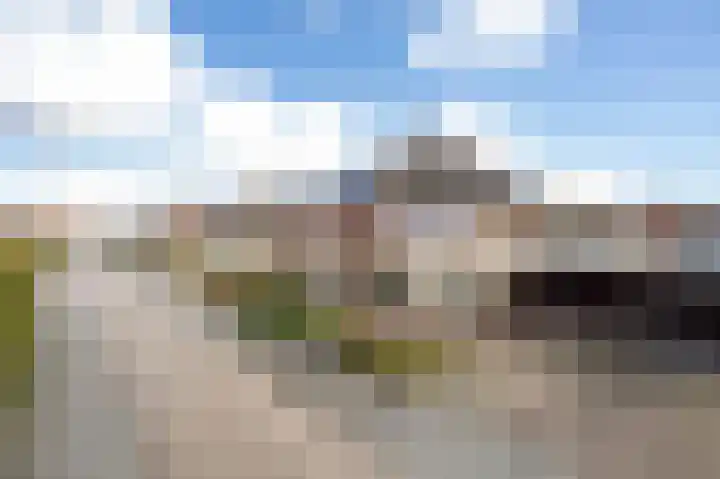 Brasem 16 Tiel thumbnail 4