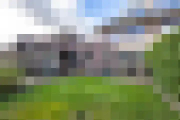 Brasem 16 Tiel thumbnail 41