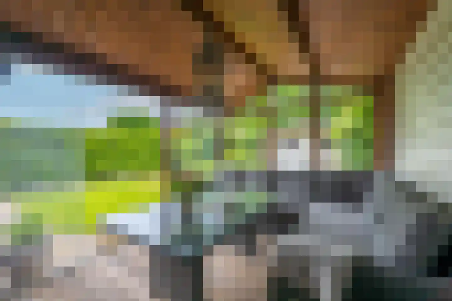 Brasem 16 Tiel thumbnail 42
