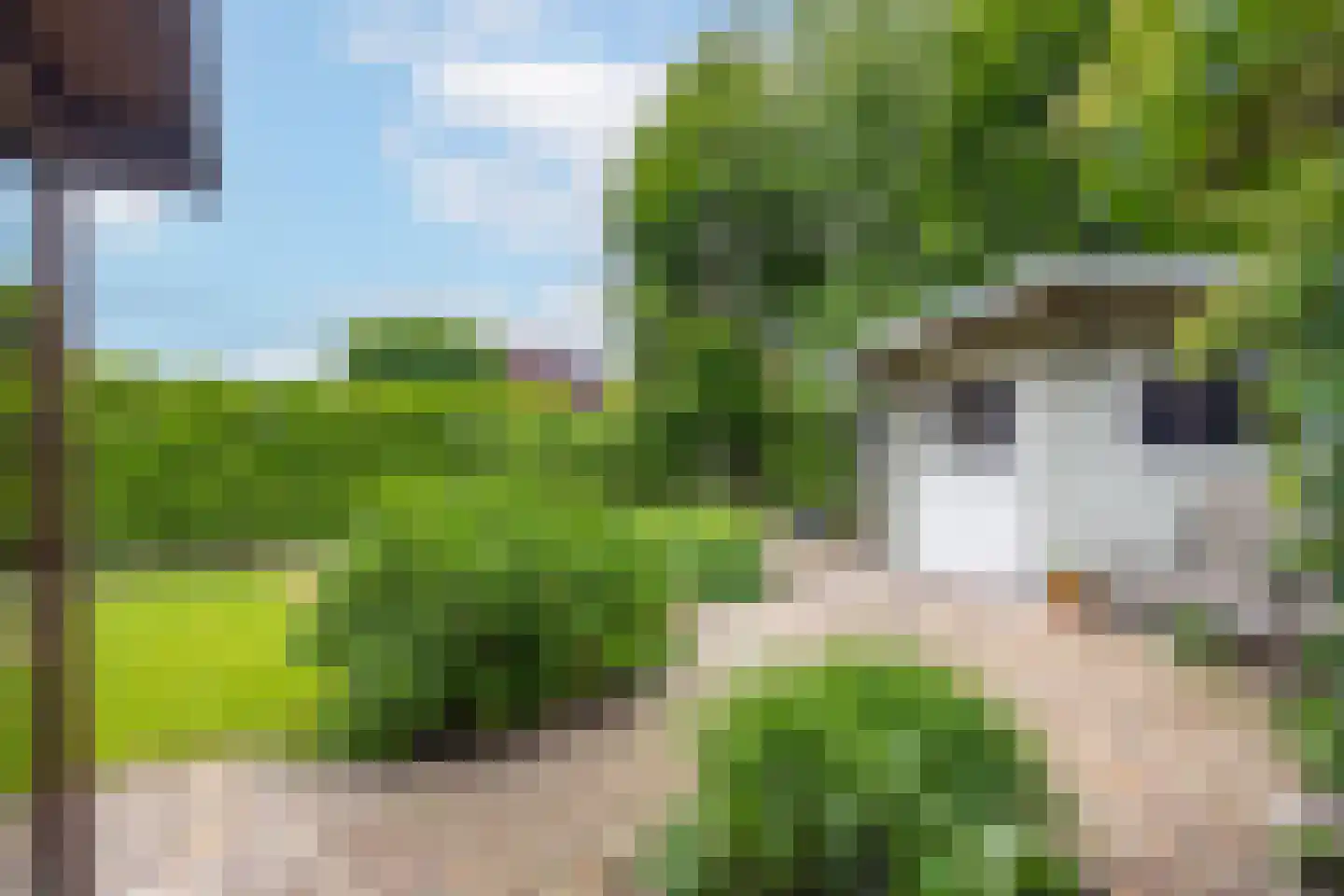 Brasem 16 Tiel thumbnail 44