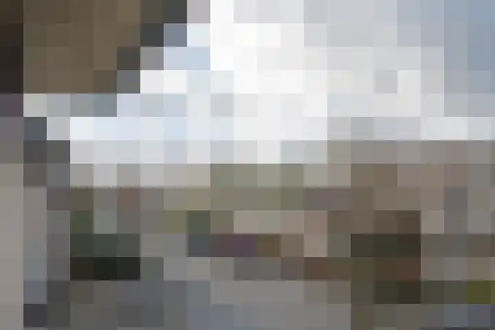 Brasem 16 Tiel thumbnail 45