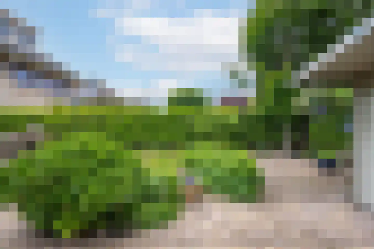 Brasem 16 Tiel thumbnail 45