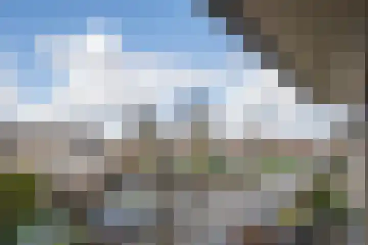 Brasem 16 Tiel thumbnail 46