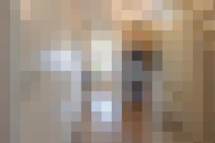 Brasem 16 Tiel thumbnail 48