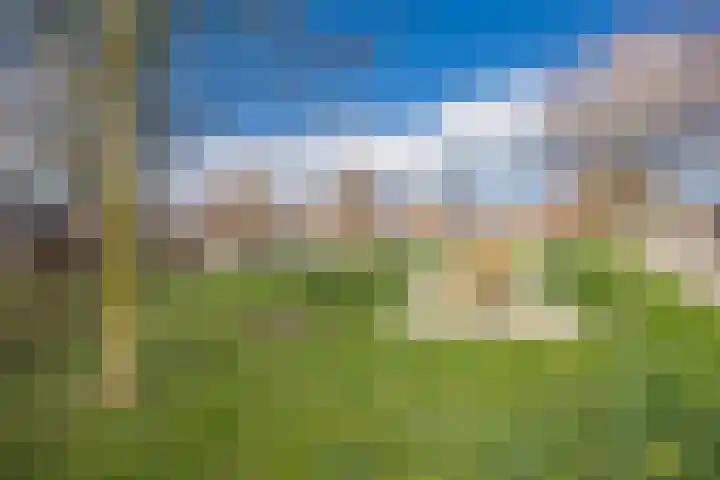 Brasem 16 Tiel thumbnail 5