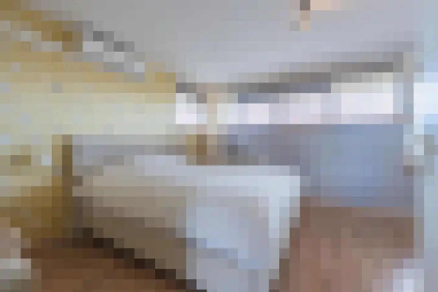 Brasem 16 Tiel thumbnail 50