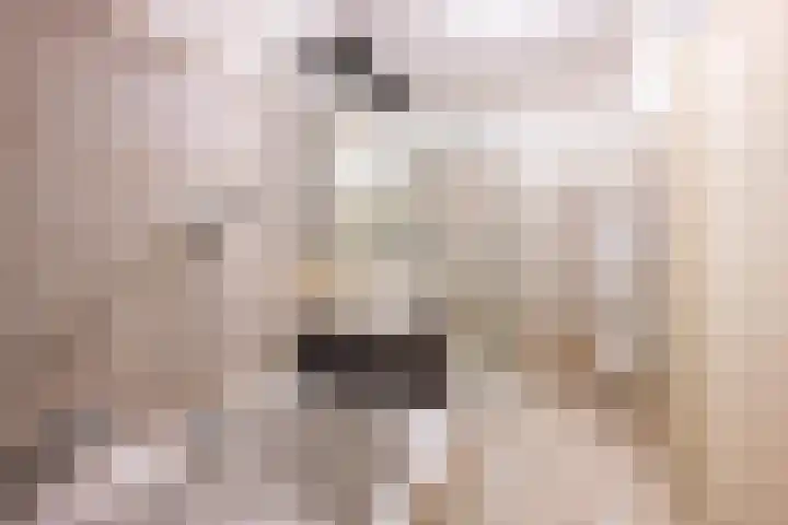 Brasem 16 Tiel thumbnail 53
