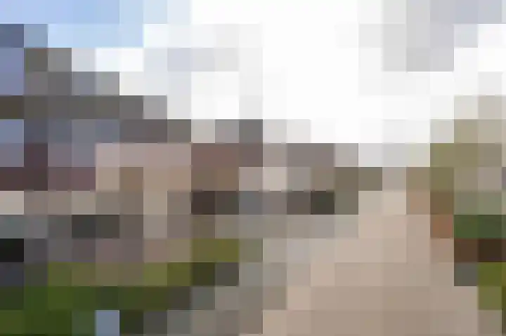 Brasem 16 Tiel thumbnail 6