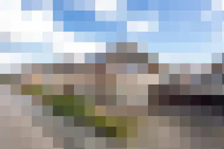 Brasem 16 Tiel thumbnail 7