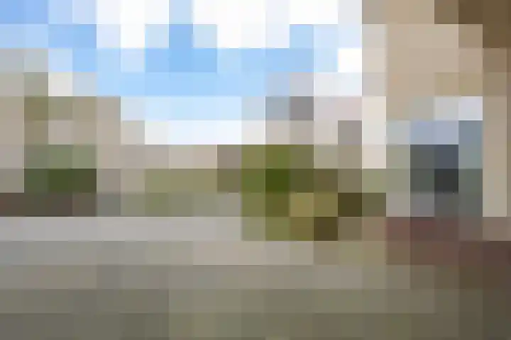 Brasem 16 Tiel thumbnail 9