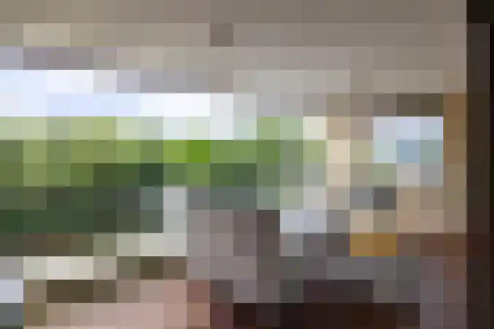 Brasem 166 Doetinchem thumbnail 12