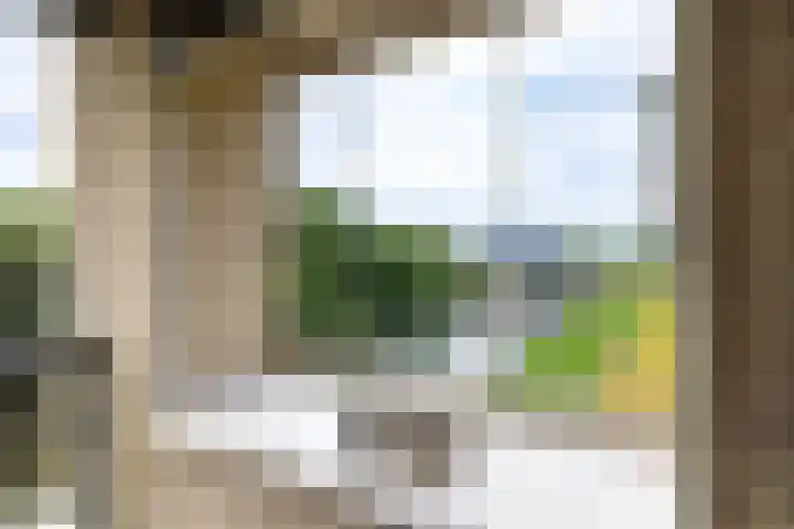 Brasem 166 Doetinchem thumbnail 13