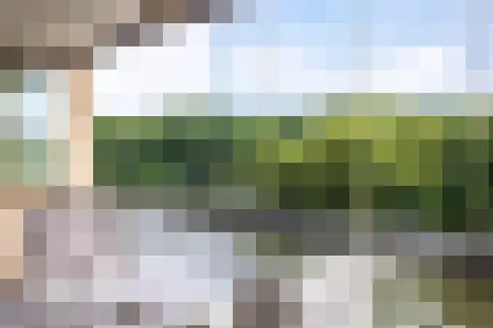 Brasem 166 Doetinchem thumbnail 14