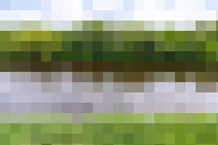 Brasem 166 Doetinchem thumbnail 15