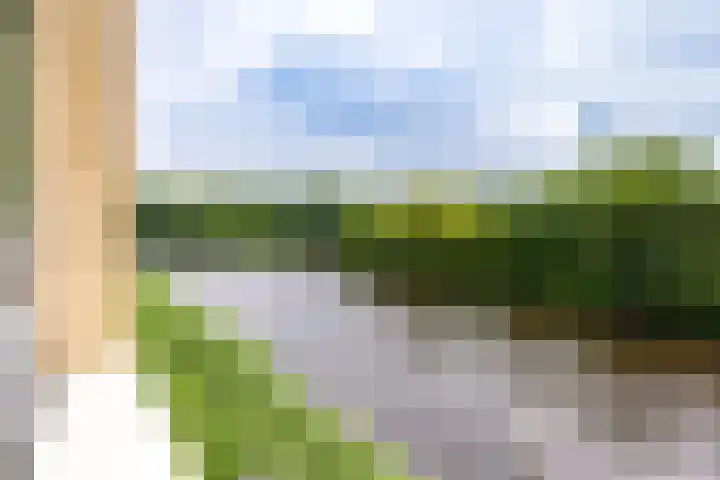 Brasem 166 Doetinchem thumbnail 16