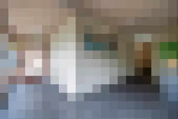 Brasem 166 Doetinchem thumbnail 35