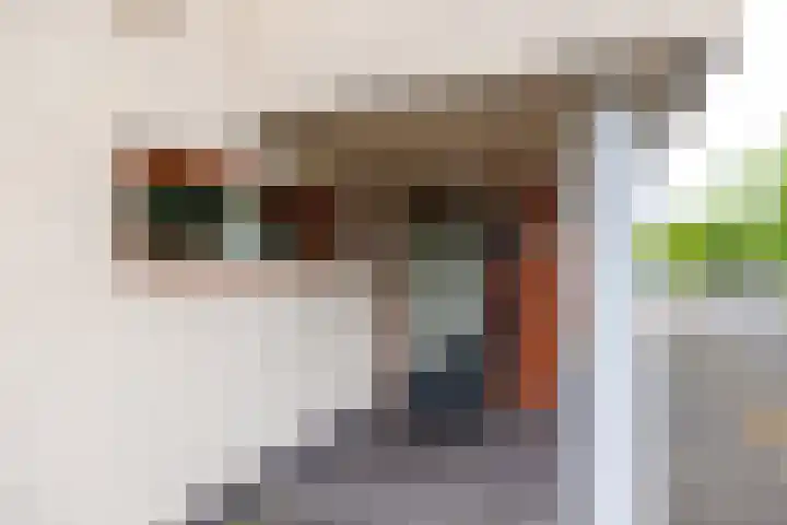 Brasem 166 Doetinchem thumbnail 39