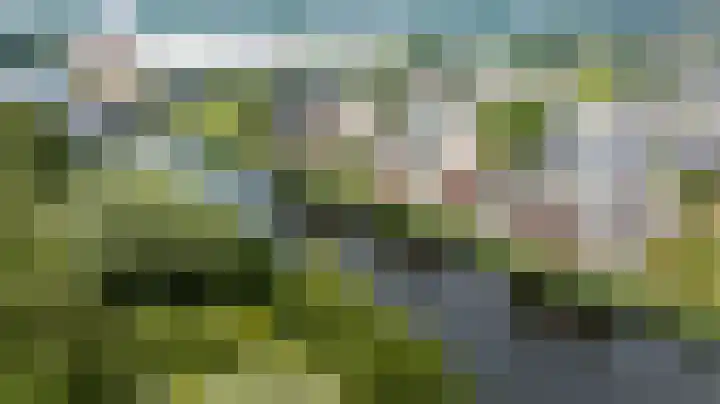 Brasem 166 Doetinchem thumbnail 49