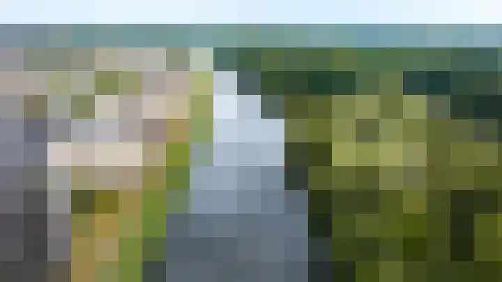 Brasem 166 Doetinchem thumbnail 51