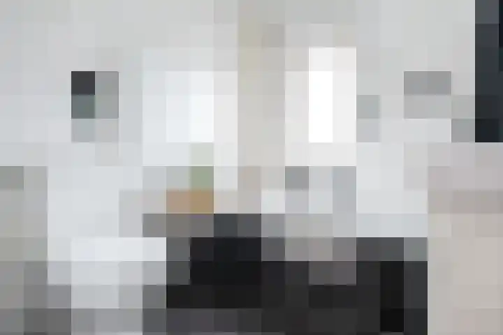Brasem 17 Hellevoetsluis thumbnail 13