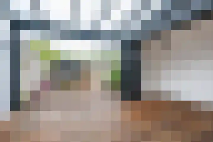 Brasem 17 Hellevoetsluis thumbnail 17