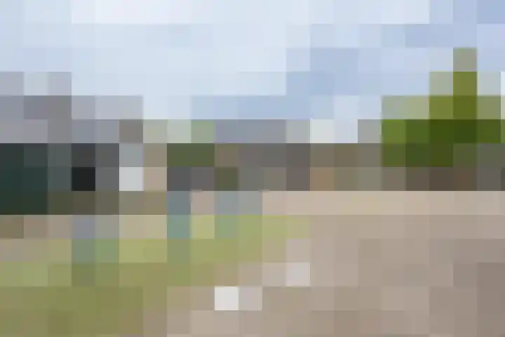 Brasem 17 Hellevoetsluis thumbnail 25
