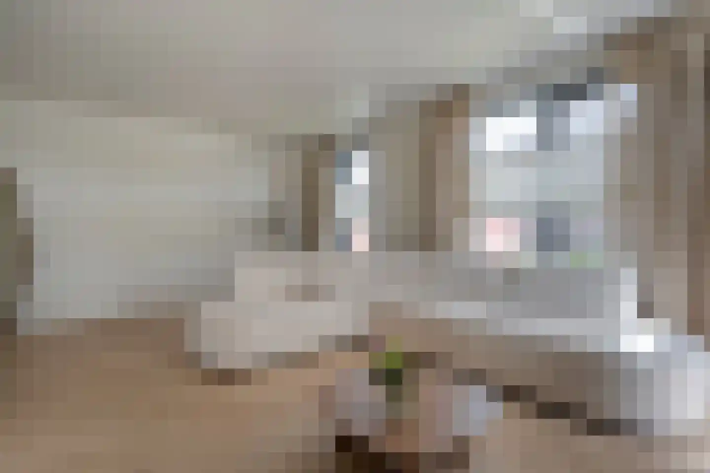 Brasem 18 Hardenberg thumbnail 15