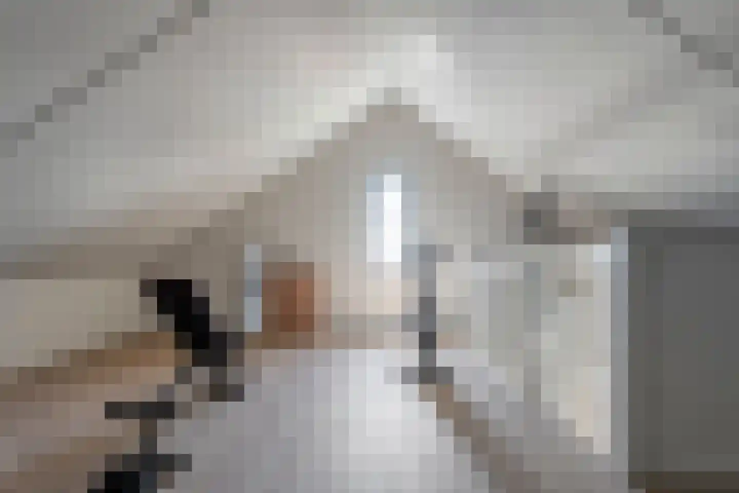 Brasem 18 Hardenberg thumbnail 38
