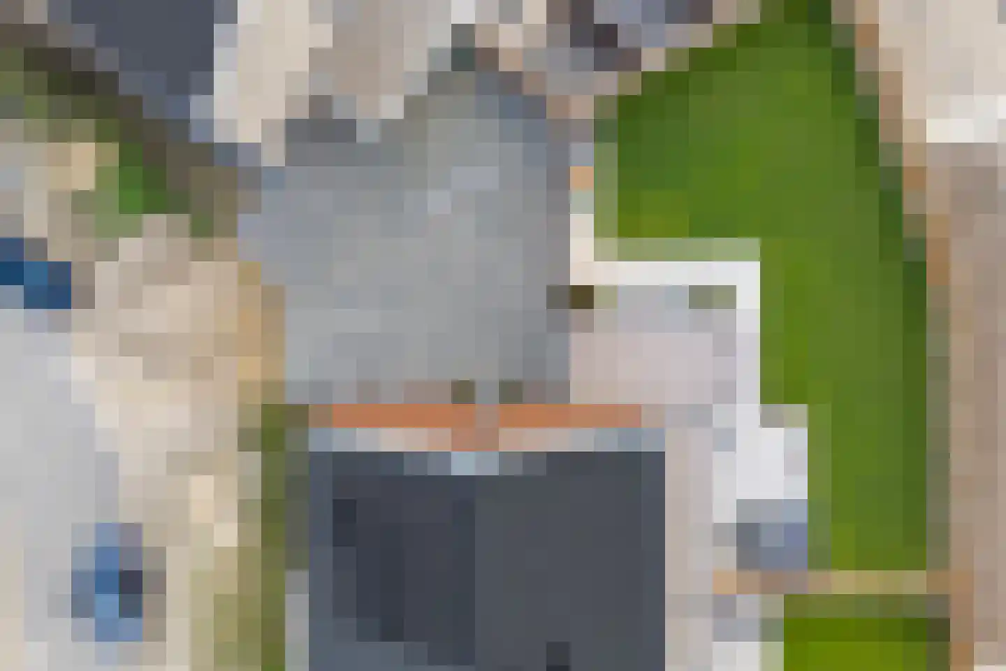 Brasem 18 Hardenberg thumbnail 47