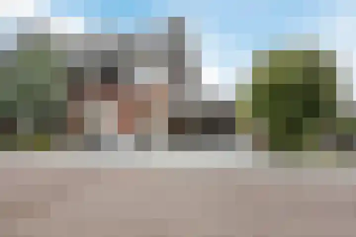 Brasem 2 in Nieuwleusen