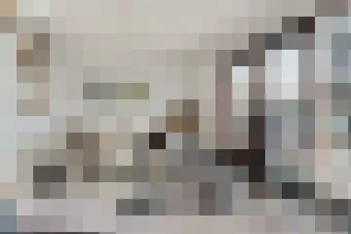 Brasem 2 Amersfoort thumbnail 10