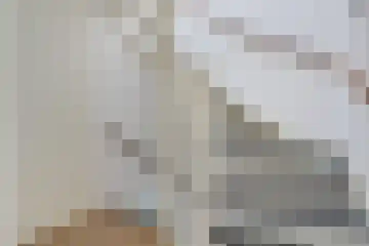 Brasem 2 Amersfoort thumbnail 12