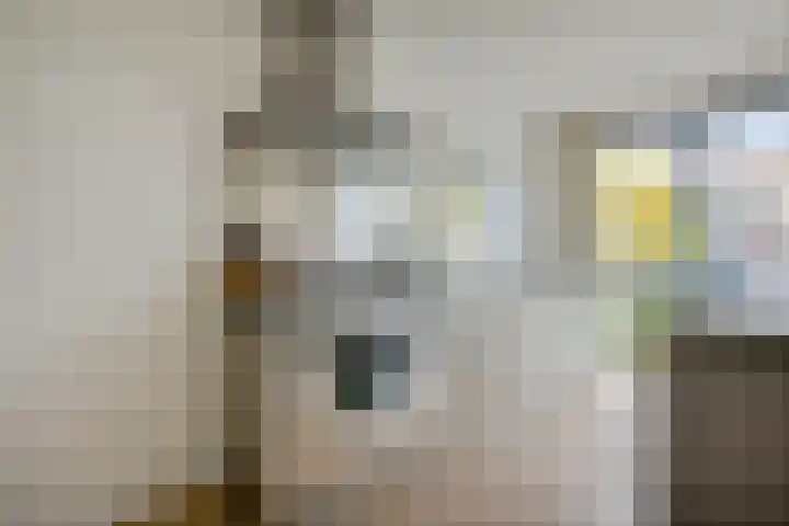 Brasem 2 Amersfoort thumbnail 16