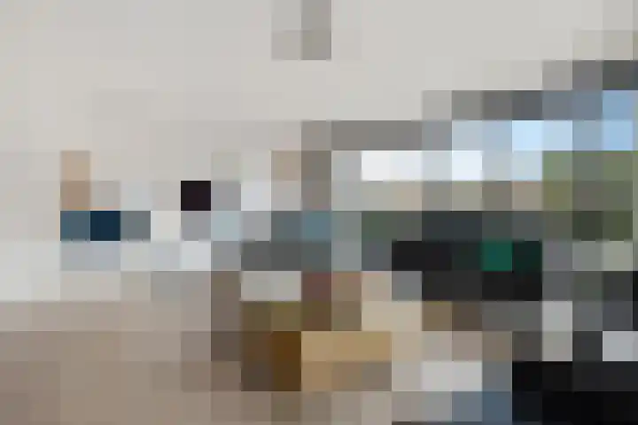 Brasem 2 Amersfoort thumbnail 18