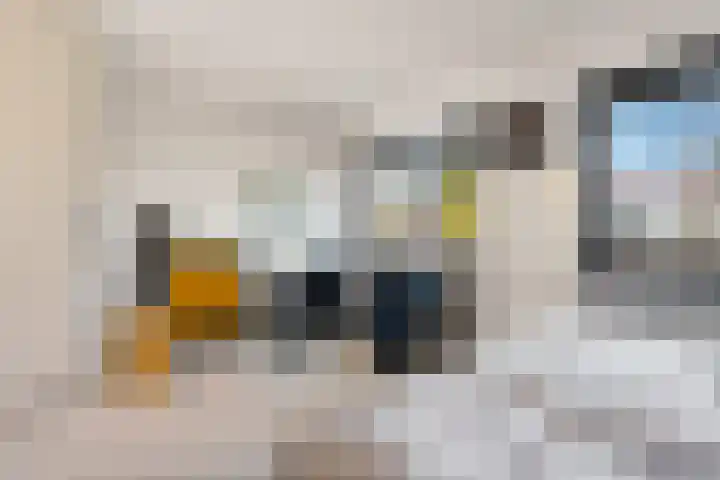 Brasem 2 Amersfoort thumbnail 28