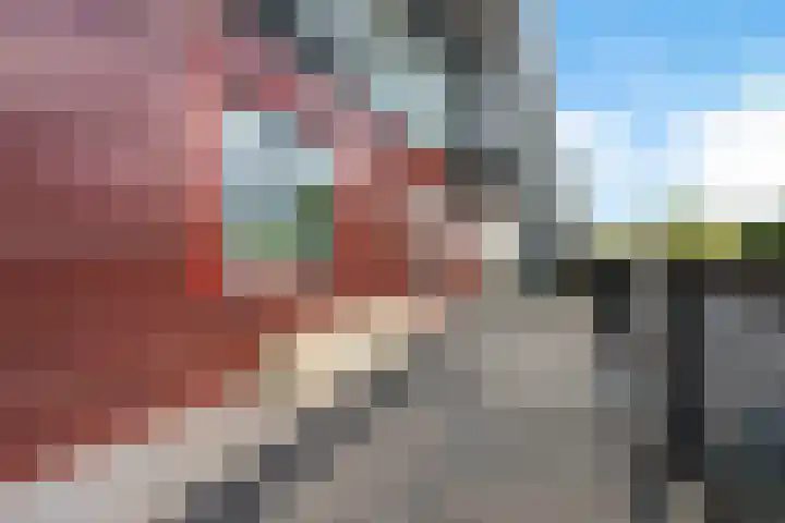 Brasem 2 Amersfoort thumbnail 31